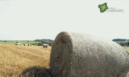 Fazenda Chapadão | Institucional